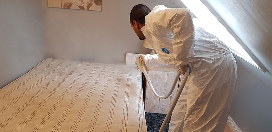 bed bug pest control specialist near me