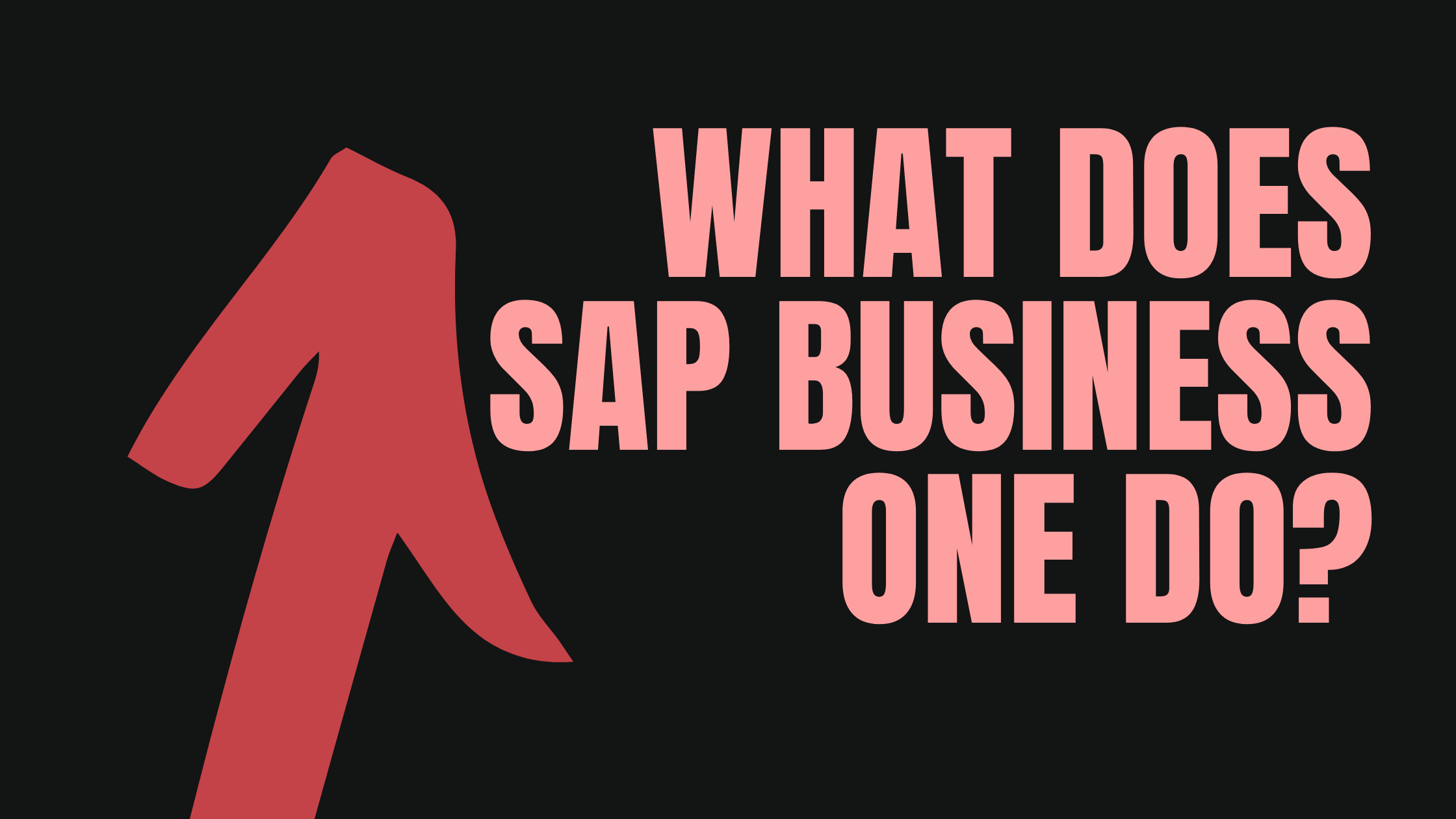 sap-business-one-do