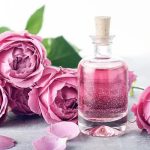 How to apply rose water in winter: In these 3 ways, apply rose water in winter, your skin will remain blooming