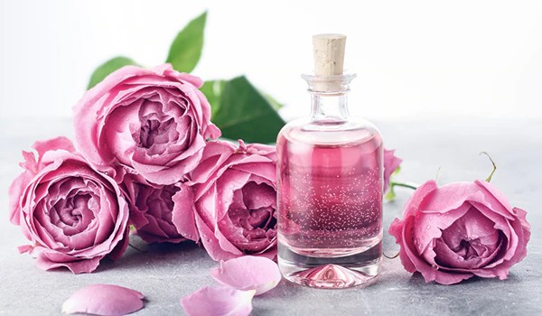 How to apply rose water in winter: In these 3 ways, apply rose water in winter, your skin will remain blooming