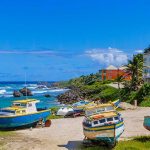 Adventures To Encounter In Barbados
